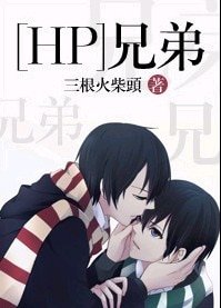 (HP同人)兄弟