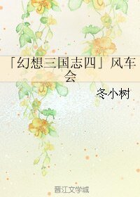 (幻想三國志4同人)風車會
