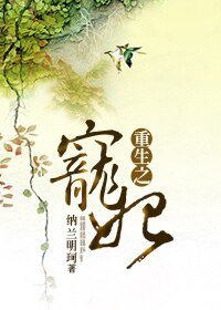 重生之寵妃