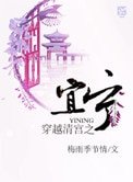 穿越清宮之宜寧