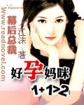 幕後總裁:好孕媽咪1+1