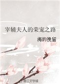 宰輔夫人的榮寵之路
