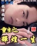 重生之輝煌一生