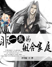 非一般的組合家庭