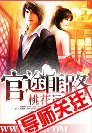 官場布衣/官途匪路桃花運