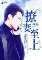 暖愛之撩妻至上