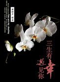 三生有幸,遇見你