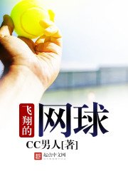 飛翔的網球