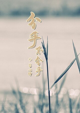 分手不分手