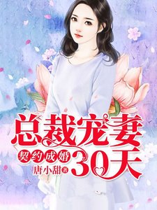 契約成婚,總裁寵妻30天