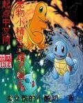 (寵物小精靈同人)寵物小精靈之精靈獵手