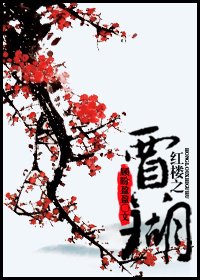 (紅樓同人)紅樓之賈瑚