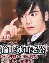馴服冰山老公/偷心冰山老公（帝集團系列）