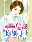 寵溺無度,總裁你別鬧