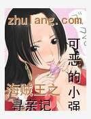 海賊王之尋親記