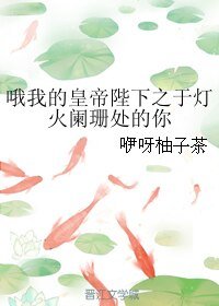 (哦我的皇帝陛下同人)哦我的皇帝陛下之於燈火闌珊處的你