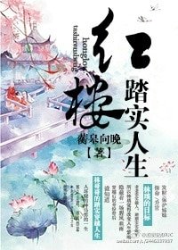 (紅樓同人)紅樓踏實人生