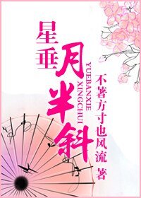 星垂月半斜