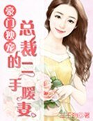豪門獨寵,總裁的二手暖妻