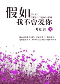 菲你不可/假如我不曾愛你(網絡版)