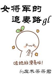 女將軍的追妻路gl