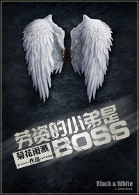 勞資的小弟是BOSS(系統)