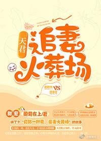 天君追妻火葬場