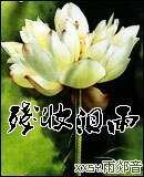 殘妝淚雨/終極三世