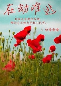 在劫難逃(GL)