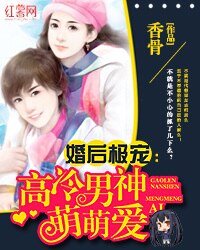 嫁給大叔好羞澀/婚後極寵:高冷男神萌萌愛