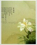 刻在我心上的你