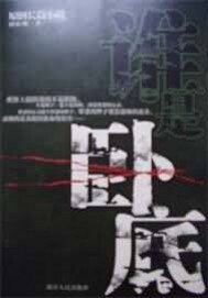 誰是卧底(出書版)