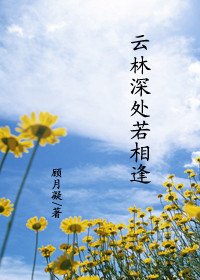 雲林深處若相逢