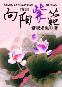 向陽紫菀