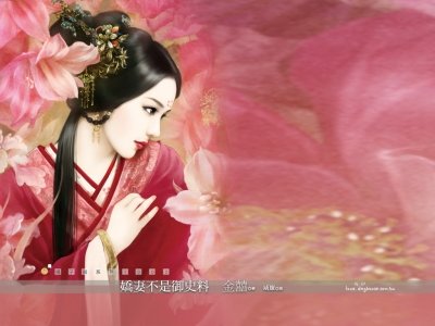 嬌妻不是御史料(吾家奇娘子之二)