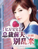 億萬寶寶:總裁前夫,別亂來