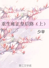 (清穿同人)重生雍正皇后路(上)