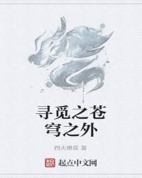 尋覓之蒼穹之外
