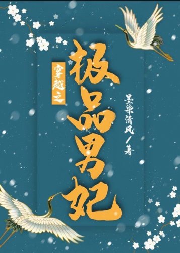 穿越之極品男妃