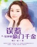 一見鍾情:誤惹豪門千金