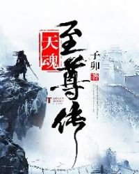 天魂至尊傳