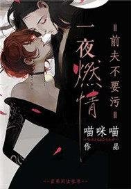一夜燃情,前夫不要污