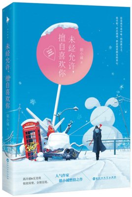 未經允許,擅自喜歡你