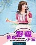 首席野蠻小三