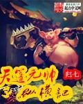 天篷元帥縱橫記