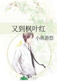 又到楓葉紅