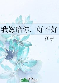 我嫁給你,好不好