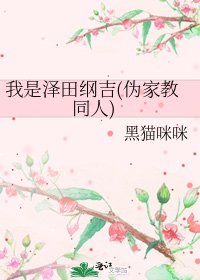 我是澤田綱吉(偽家教同人)