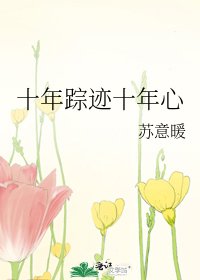 十年蹤跡十年心