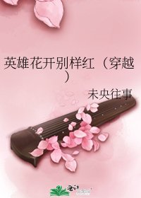 英雄花開別樣紅(穿越)